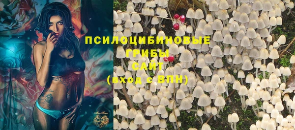 дурь Лабытнанги