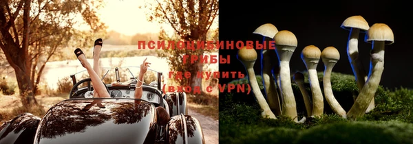 дурь Лабытнанги