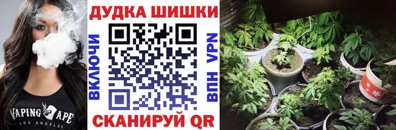 где продают   Кочубеевское  Конопля тримм 